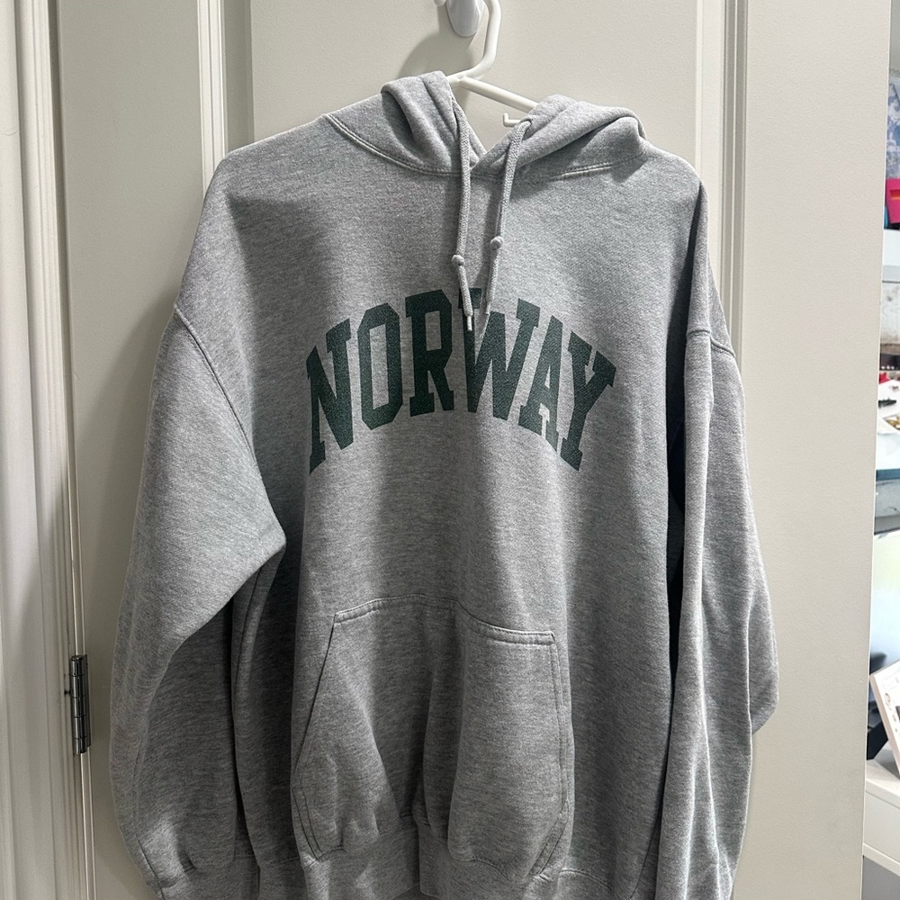 Brandy Melville Gray Cozy Sweatshirt